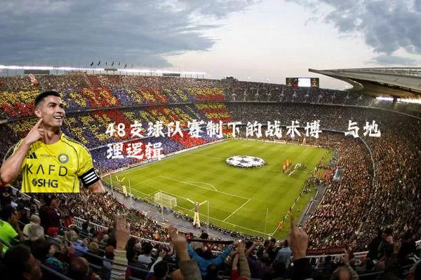 48支球队赛制下的战术博弈与地理逻辑